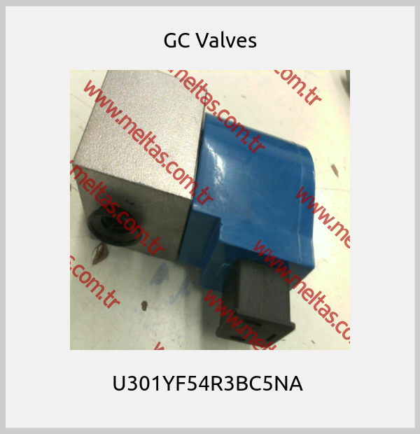 GC Valves - U301YF54R3BC5NA 
