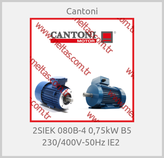 Cantoni - 2SIEK 080B-4 0,75kW B5 230/400V-50Hz IE2 