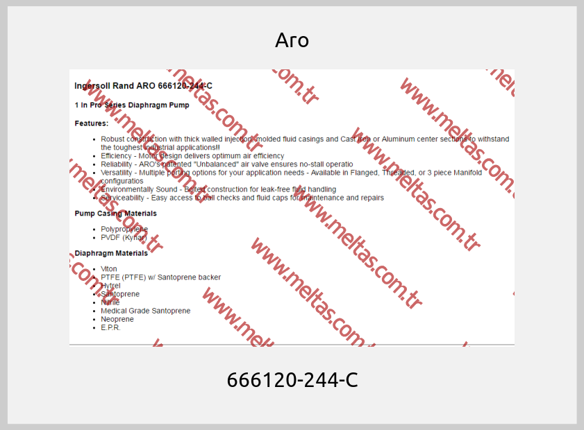 Aro - 666120-244-C