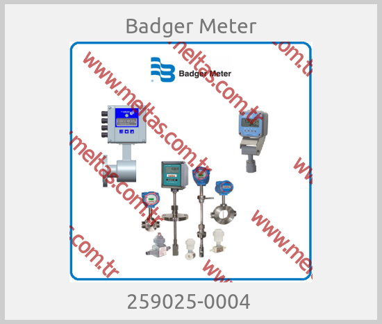Badger Meter - 259025-0004 