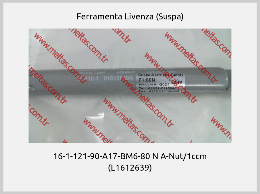 Ferramenta Livenza (Suspa) - 16-1-121-90-A17-BM6-80 N A-Nut/1ccm (L1612639)