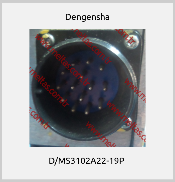 Dengensha-D/MS3102A22-19P 
