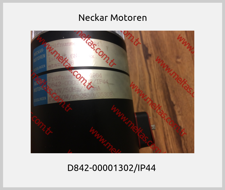 Neckar Motoren - D842-00001302/IP44 