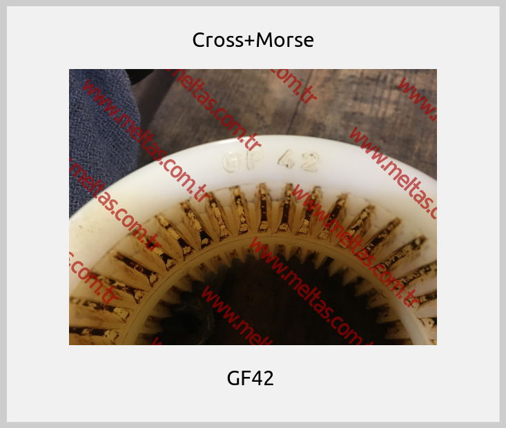 Cross+Morse - GF42 