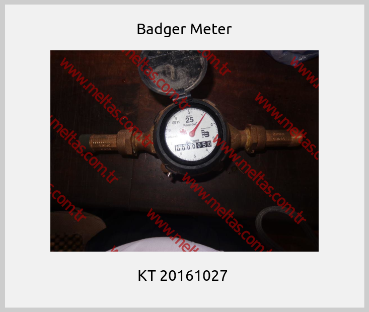Badger Meter - KT 20161027 