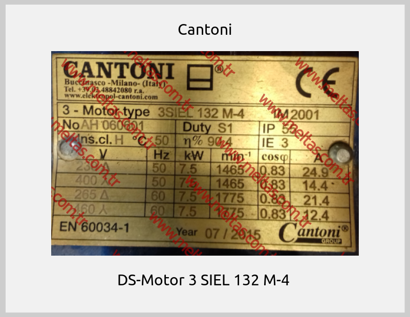 Cantoni - DS-Motor 3 SIEL 132 M-4 