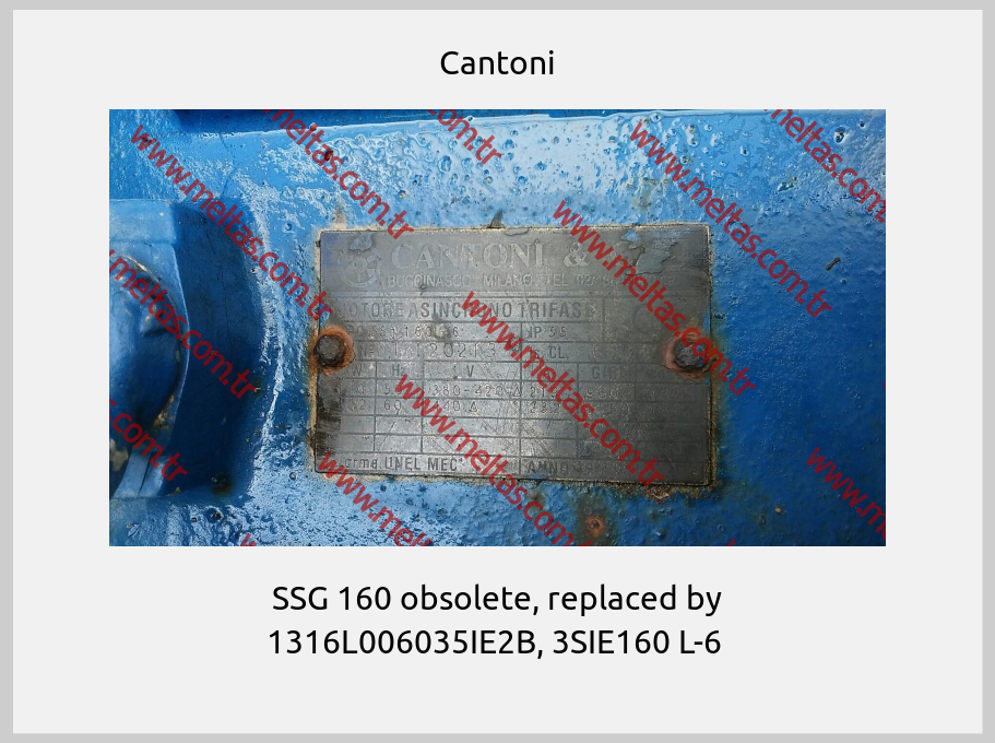 Cantoni - SSG 160 obsolete, replaced by 1316L006035IE2B, 3SIE160 L-6 