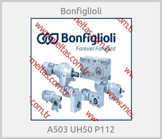 Bonfiglioli-A503 UH50 P112