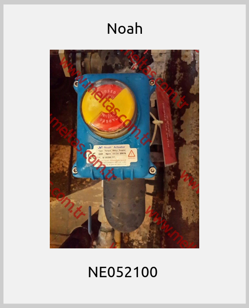 Noah - NE052100 