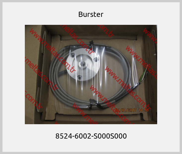 Burster - 8524-6002-S000S000