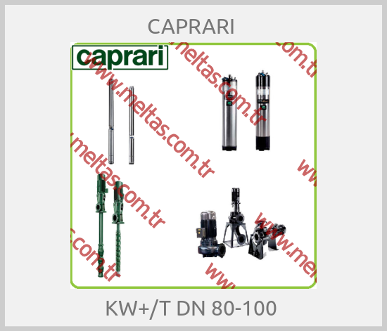 CAPRARI  - KW+/T DN 80-100 
