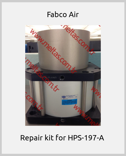 Fabco Air-Repair kit for HPS-197-A 