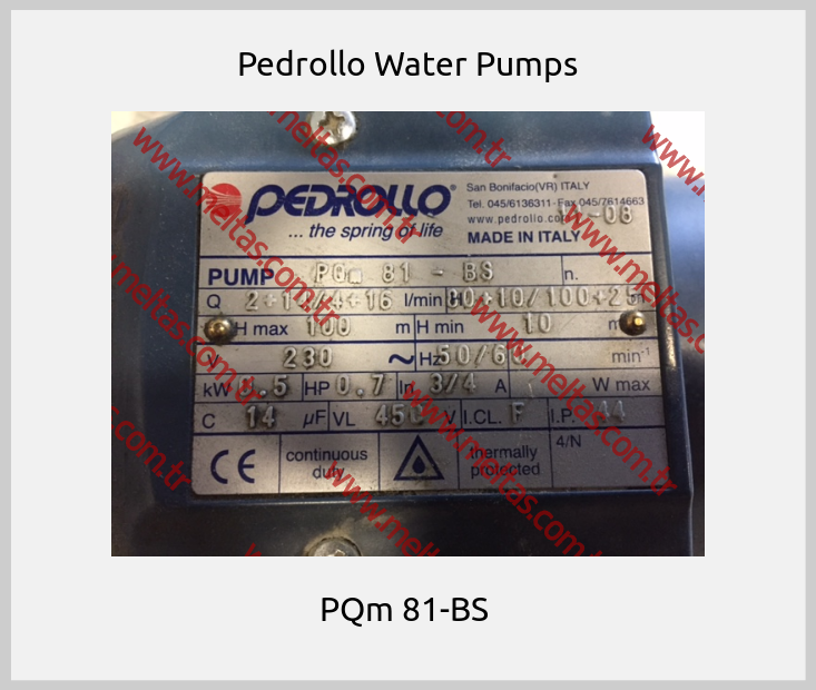 Pedrollo Water Pumps - PQm 81-BS 