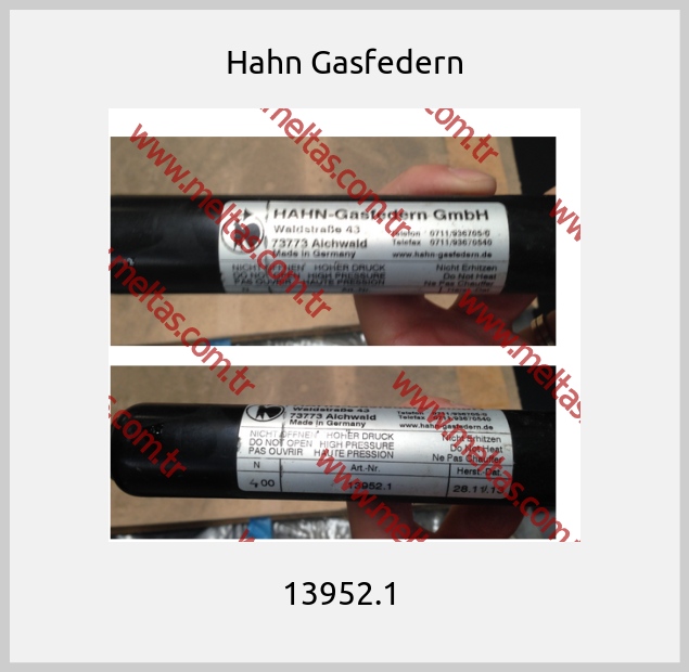 Hahn Gasfedern - 13952.1 