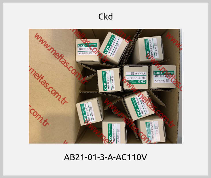 Ckd - AB21-01-3-A-AC110V