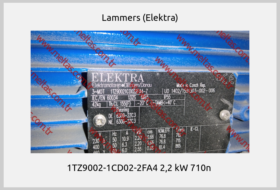Lammers (Elektra) - 1TZ9002-1CD02-2FA4 2,2 kW 710n 