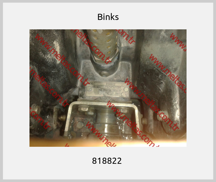 Binks - 818822 
