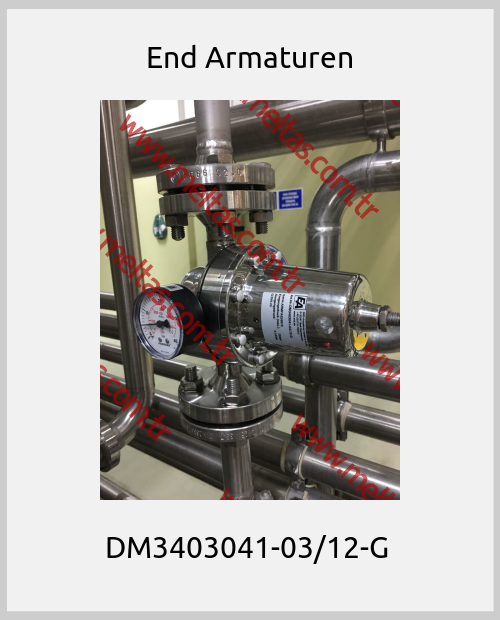 End Armaturen - DM3403041-03/12-G 