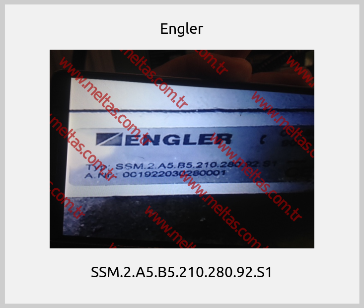 Engler - SSM.2.A5.B5.210.280.92.S1