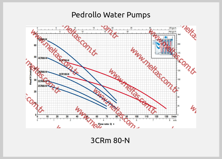 Pedrollo Water Pumps - 3CRm 80-N 