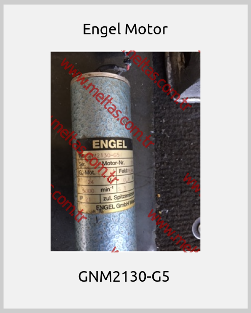 Engel Motor - GNM2130-G5 