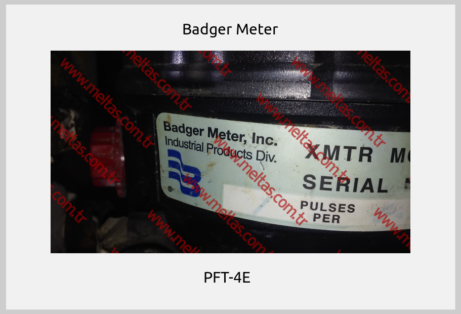 Badger Meter - PFT-4E  