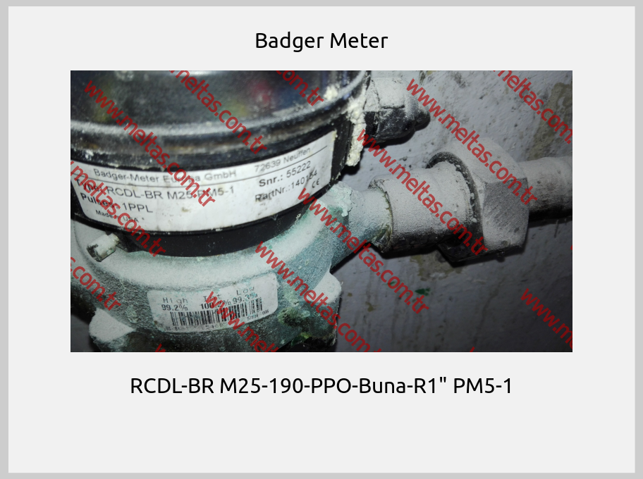 Badger Meter - RCDL-BR M25-190-PPO-Buna-R1" PM5-1 