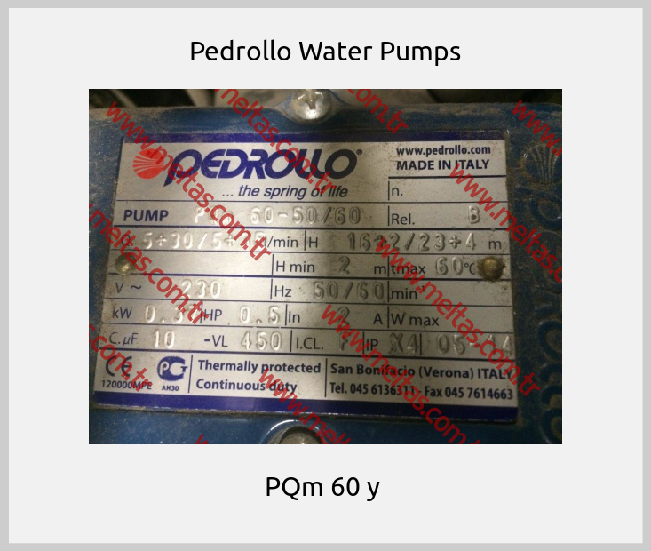 Pedrollo Water Pumps - PQm 60 y 