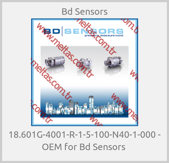 Bd Sensors - 18.601G-4001-R-1-5-100-N40-1-000 - OEM for Bd Sensors 