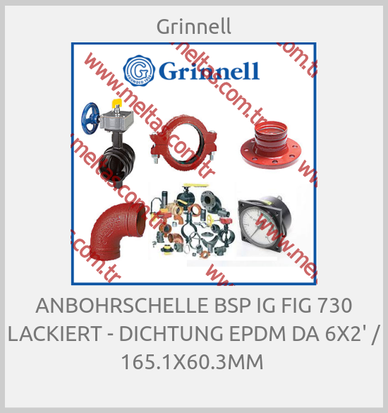 Grinnell - ANBOHRSCHELLE BSP IG FIG 730 LACKIERT - DICHTUNG EPDM DA 6X2' / 165.1X60.3MM 