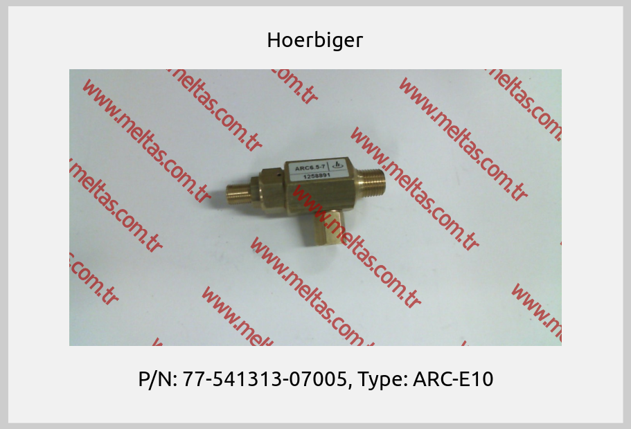 Hoerbiger - P/N: 77-541313-07005, Type: ARC-E10