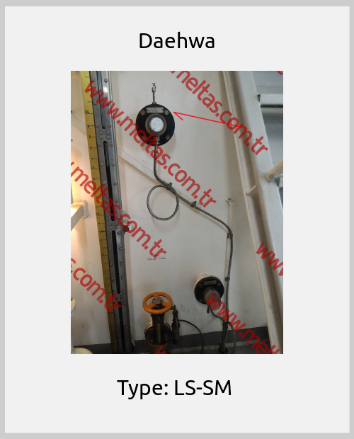 Daehwa - Type: LS-SM 