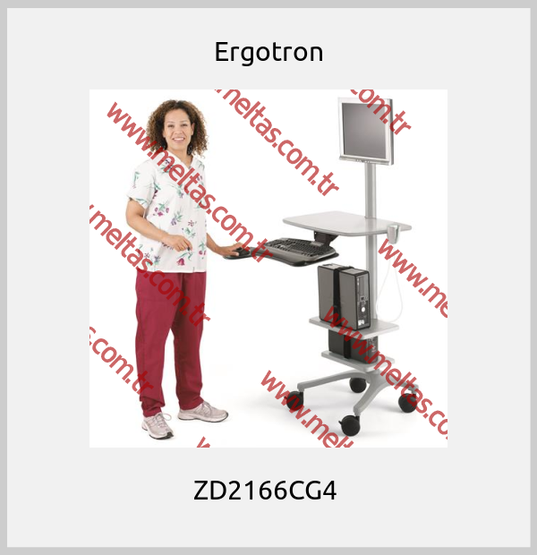 Ergotron - ZD2166CG4 