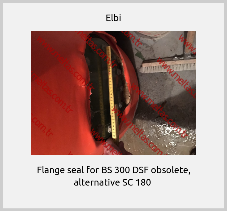 Elbi - Flange seal for BS 300 DSF obsolete, alternative SC 180 