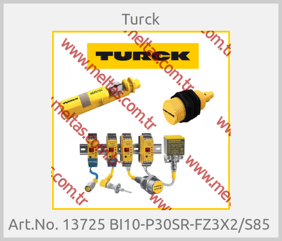 Turck - Art.No. 13725 BI10-P30SR-FZ3X2/S85 
