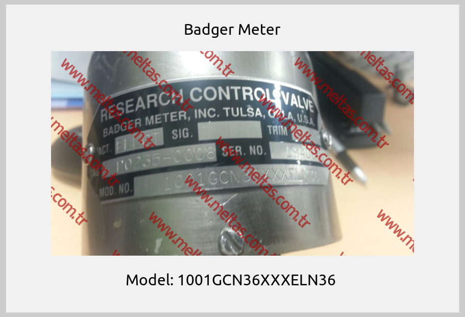 Badger Meter - Model: 1001GCN36XXXELN36 