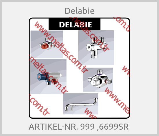 Delabie-ARTIKEL-NR. 999 ,6699SR 