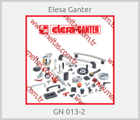 Elesa Ganter - GN 013-2 