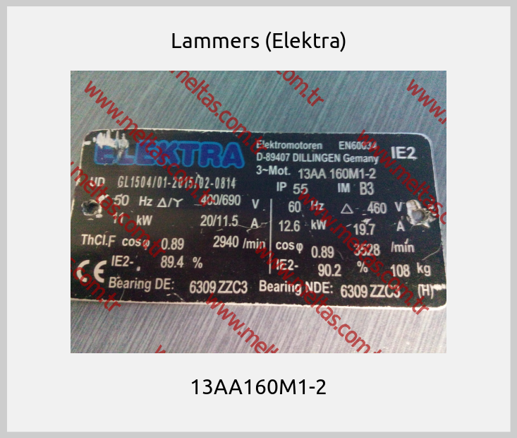 Lammers (Elektra) - 13AA160M1-2