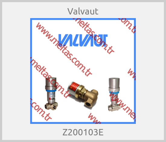 Valvaut - Z200103E