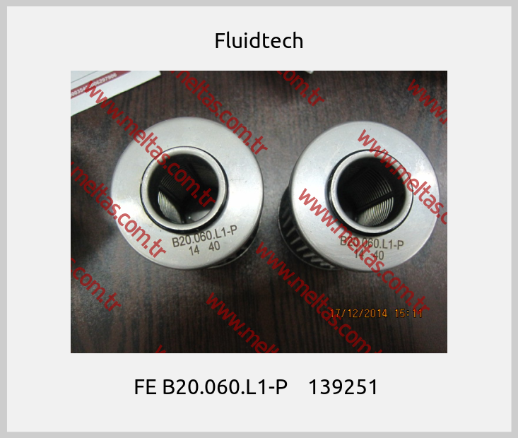 Fluidtech-FE B20.060.L1-P    139251 