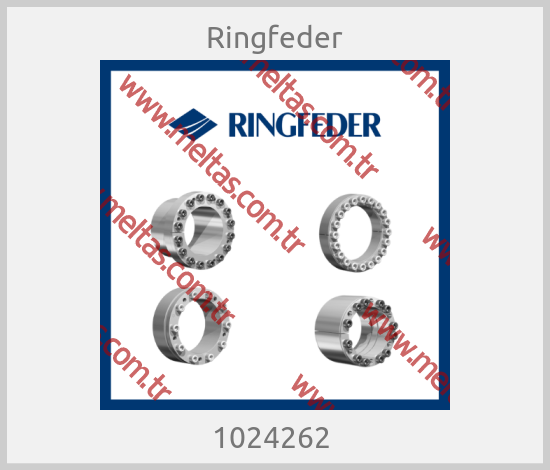 Ringfeder-1024262 