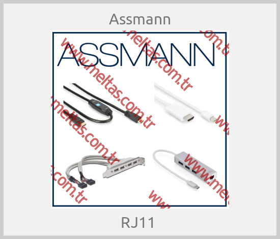 Assmann - RJ11 