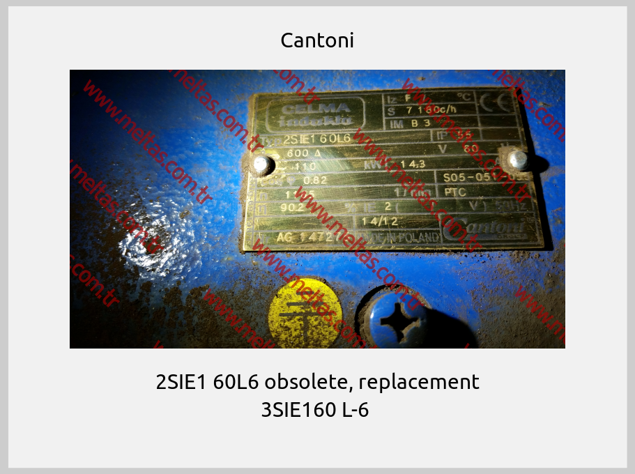 Cantoni - 2SIE1 60L6 obsolete, replacement 3SIE160 L-6 