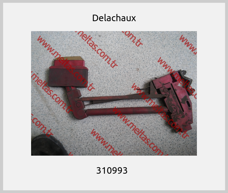 Delachaux - 310993  