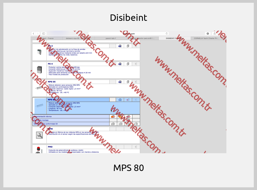 Disibeint - MPS 80