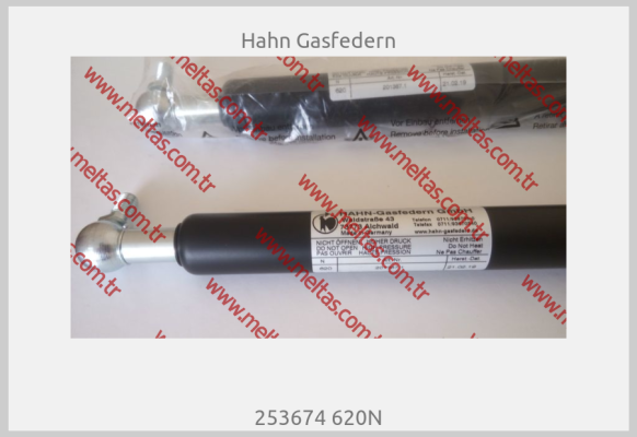 Hahn Gasfedern - 253674 620N