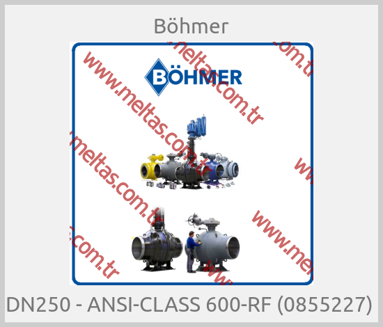Böhmer - DN250 - ANSI-CLASS 600-RF (0855227) 