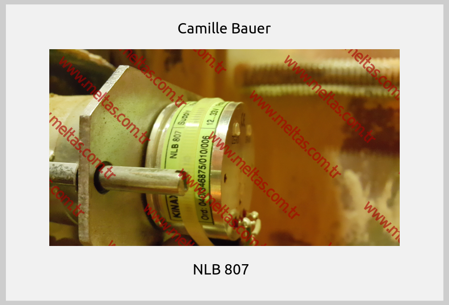 Camille Bauer - NLB 807  