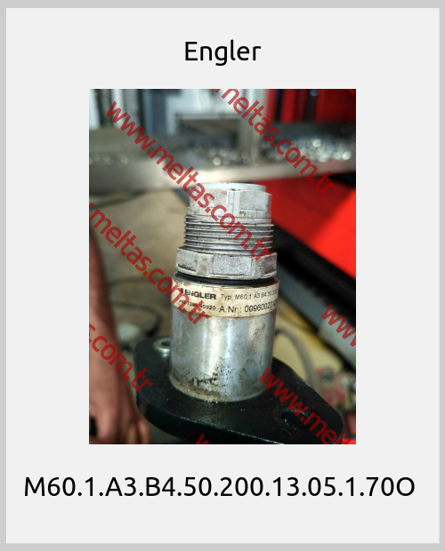 Engler - M60.1.A3.B4.50.200.13.05.1.70O 
